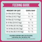 Air-Dried Cat Food, Beef & Salmon Recipe